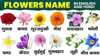 🌸🌹Flowers Name for kids| Flowers Name in english and hindi  फूलों के नाम 
