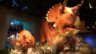 Kansas City Kansas T-REX Cafe 1080P