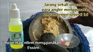 cara bikin umpan ikan nilem pake tempe@situkangstrike#umpantempe#mancingikannilem#umpan#essen