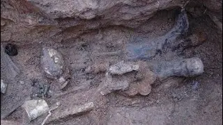 WE FOUND A SOVIET SAPPER / WWII METAL DETECTING