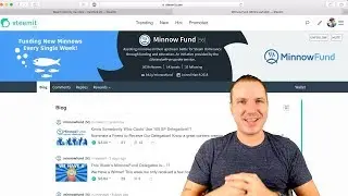 Steem HardFork 20, MinnowFund Updates, and More!