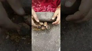 Rakhiya bari ke chatni 🤤 chhattisgarhi recipe rakhiya bari chatni 🤤#rakhiya #rakhiyabarichatni #cg