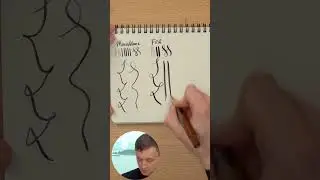 Montblanc Calligraphy против FPR Ultra Flex #montblanc #любовькперьям