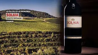 Il Solaia | Marchesi Antinori | Toscana IGP