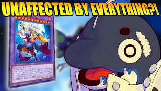 FINALLY! NEW LUNALIGHT SUPPORT CHANGES EVERYTHING FOR THEM! Yu-Gi-Oh!