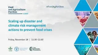 Scaling up disaster and climate risk management actions to prevent food crises