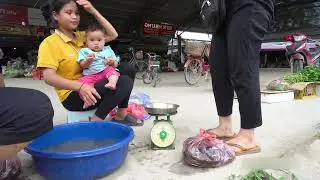 300 Days of Making a Living: A Single Mom Builds a Farm and Harvests Clams in a Pond