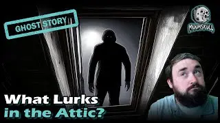 What Lurks in the Attic? A Terrifying Encounter