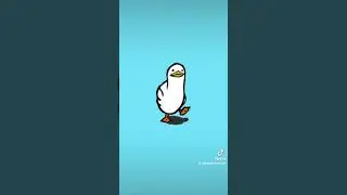 Die Ente