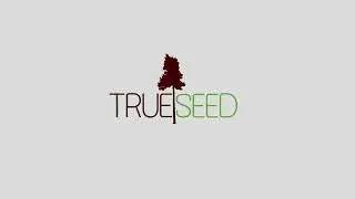 Unique and Renest Hotels- Office by TrueSeed in Emaar Digital Greens