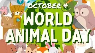 world animal day 2022 ❤️