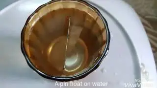 How a pin float on water?