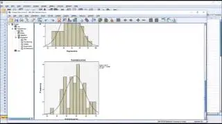 Calculating Descriptive Statistics in SPSS using the 