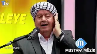 يشار عزالدين نعمت • مقام نهاوند 2019