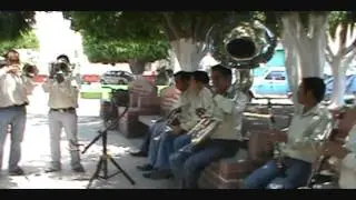 sal y limon la arrasadora banda san pedro