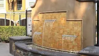 The Palms on University (Student Housing) Apartments in Riverside, CA - ForRent.com