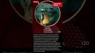 Latest Famous Deaths - Cassius - Crocodile
