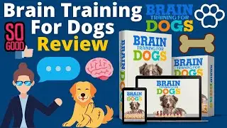 Brain Training For Dogs Review - The Best Doggy Program To Teach An Old Dog New Tricks!