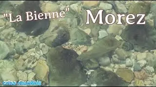 La Bienne ; Morez ; Sentier ; La Roche au Dade ; Views ; Jura ; Morbier ; Belvédère ; 39 ; France