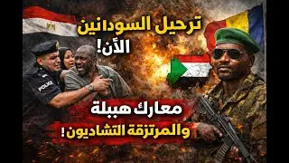 لماذا ترحّل مصر السودانيين الآن؟ حقائق صادمة عن معارك هبيلة والمرتزقة التشاديين