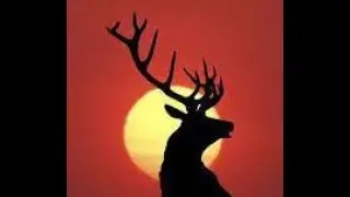1008 Animals At The Gate - Archetypal Readings