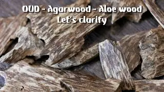 il mito dell'OUD - Agarwood, Aquilaria. Districhiamo un po il groviglio.