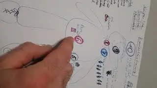 Ged&auml;chtnistraining Ergotherapie k&ouml;rperliste, baumliste, Farbcodes