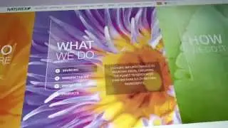 NATUREX - New Website