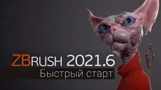 ZBrush 2021.6 Быстрый старт