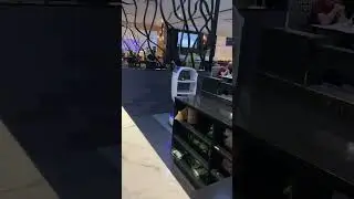 Robo sushi