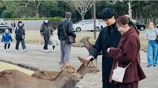 え？鹿が子供に近づいたけど、一体どうなったの？意外すぎる！どうして鹿は急に子供に近づいたの？奈良公園💕🦌❤️🥰#deerpark #narapark #japantravel 