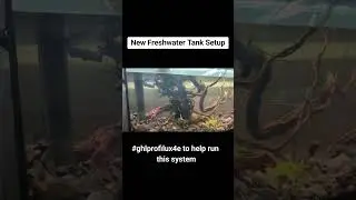 Our New Freshwater Tank