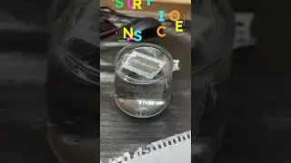 Surface Tension #physics #ncert #ncertphysics #physicsbook