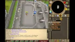 Runescape 9hp Account
