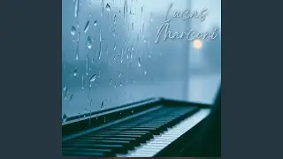Weightless Dreams