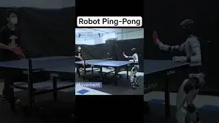 Robot Ping-Pong: Human vs Humanoid