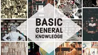 Brewing Knowledge: Unpacking the Magic of Coffee