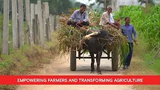 Uttar Pradesh's Farmer Welfare Initiatives  | OMG Uttar Pradesh