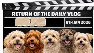 Dog grooming - (daily vlog) part 1