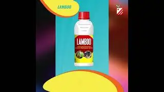 LAMBOO - लंबू  - @PatilBiotech