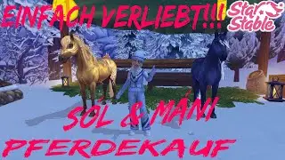 ❄️✨Ich konnte NICHT widerstehen… Sól & Máni sind einfach NEXT LEVEL! ✨❄️ #starstable #sso
