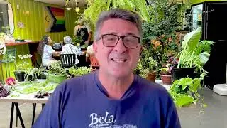 Conhe&ccedil;a o curso de PANC na cozinha vegana e vegetariana