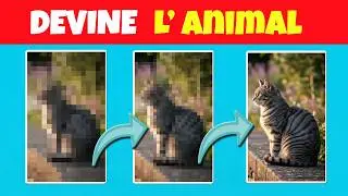 Devine les 15 animaux qui apparaissent ! | Quiz animaux