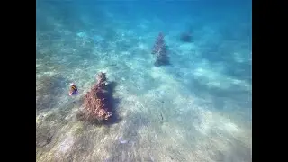 BHB Dive Report For December