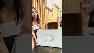 Labubu collection 2025 vlog1 #alexiswong #unboxing  #labubu 