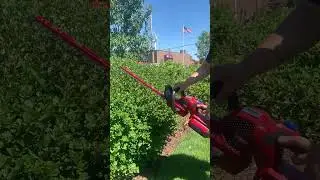Gas or Battery? Toro 60V Electric Equipment is TOUGH!