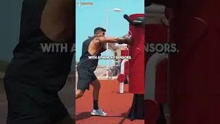 Boxing Buddy: The Smart Punching Bag That Fights Back