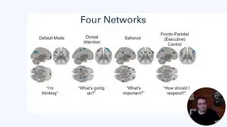 Importance of Understanding Large Scale Brain Network Connectivity in Education and Healthcare