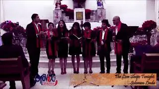 Ottovox-The Lion Sleeps Tonight-Solomon Linda