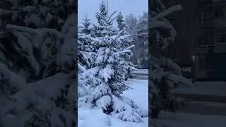 #music #remix #youtubeshorts #snow #2025 #travel #reels #shorts #viral  #viralvideo #india #russia